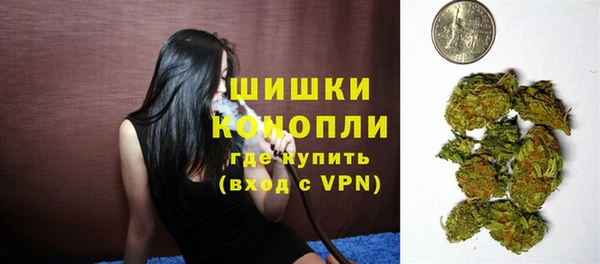 ALPHA-PVP Новозыбков