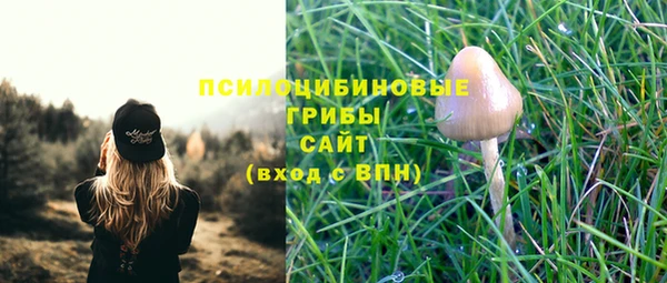 ALPHA-PVP Новозыбков