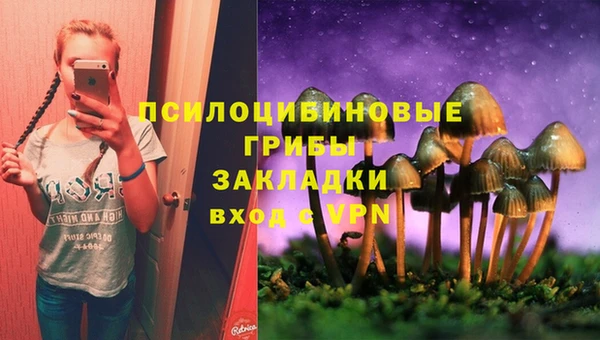 винт Новокубанск
