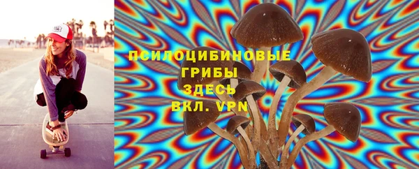 гидропоника Нефтекумск