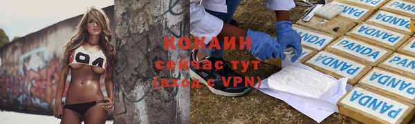 ALPHA-PVP Новозыбков