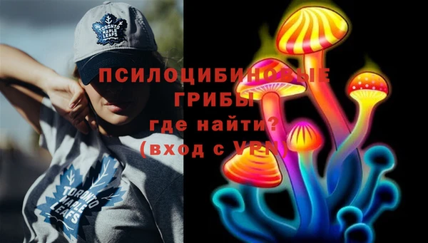 мдпв Новодвинск