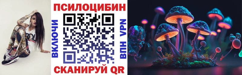 Псилоцибиновые грибы Psilocybe  где купить наркотик  Палласовка 